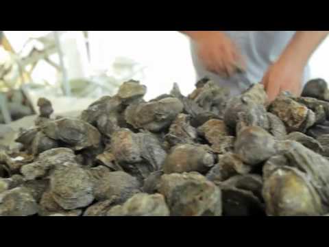 Louisiana Seafood Promotion & Marketing Board - Landry & Collins